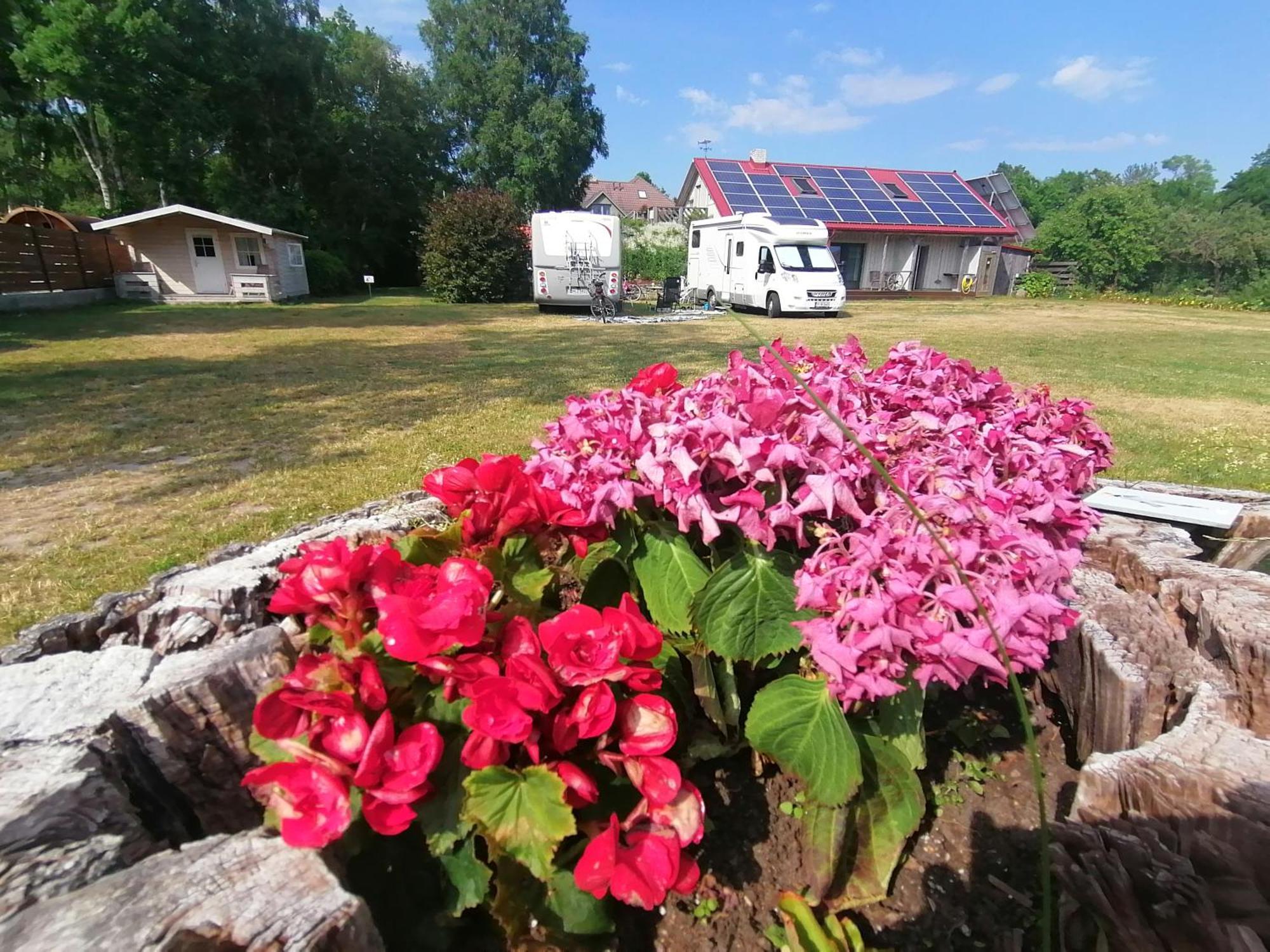 Piibelehe Guest Accommodation Kuressaare Exterior foto