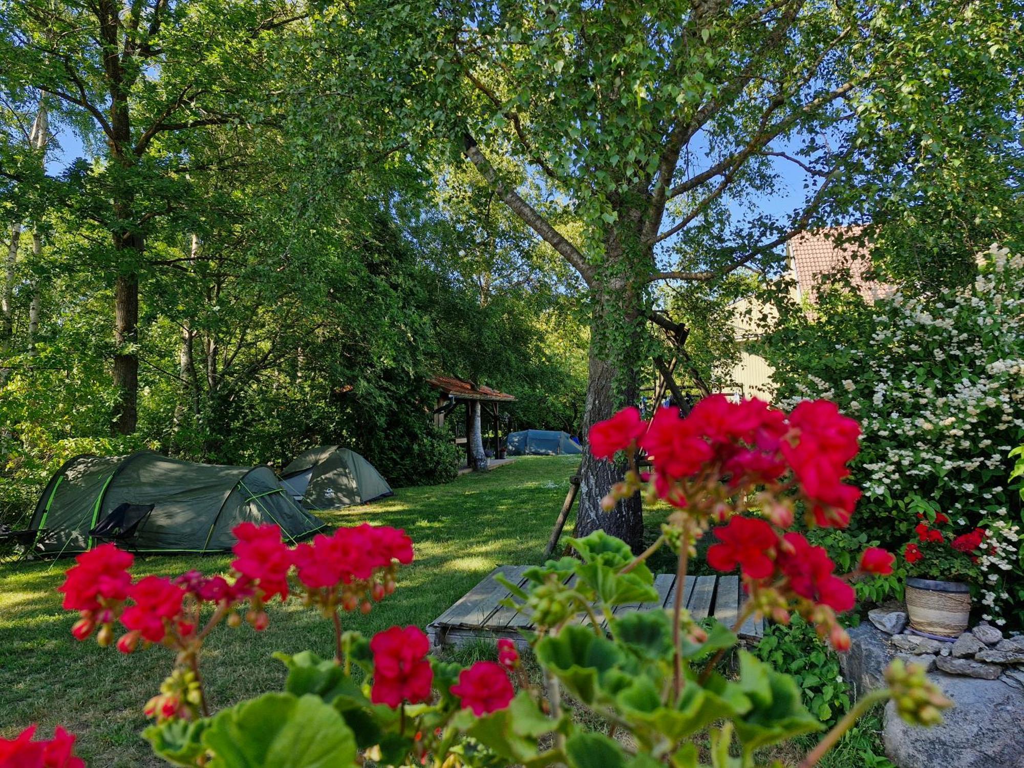 Piibelehe Guest Accommodation Kuressaare Exterior foto